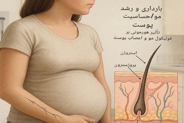 تاثیر-هورمون لیزر موهای زائد در دوران بارداری